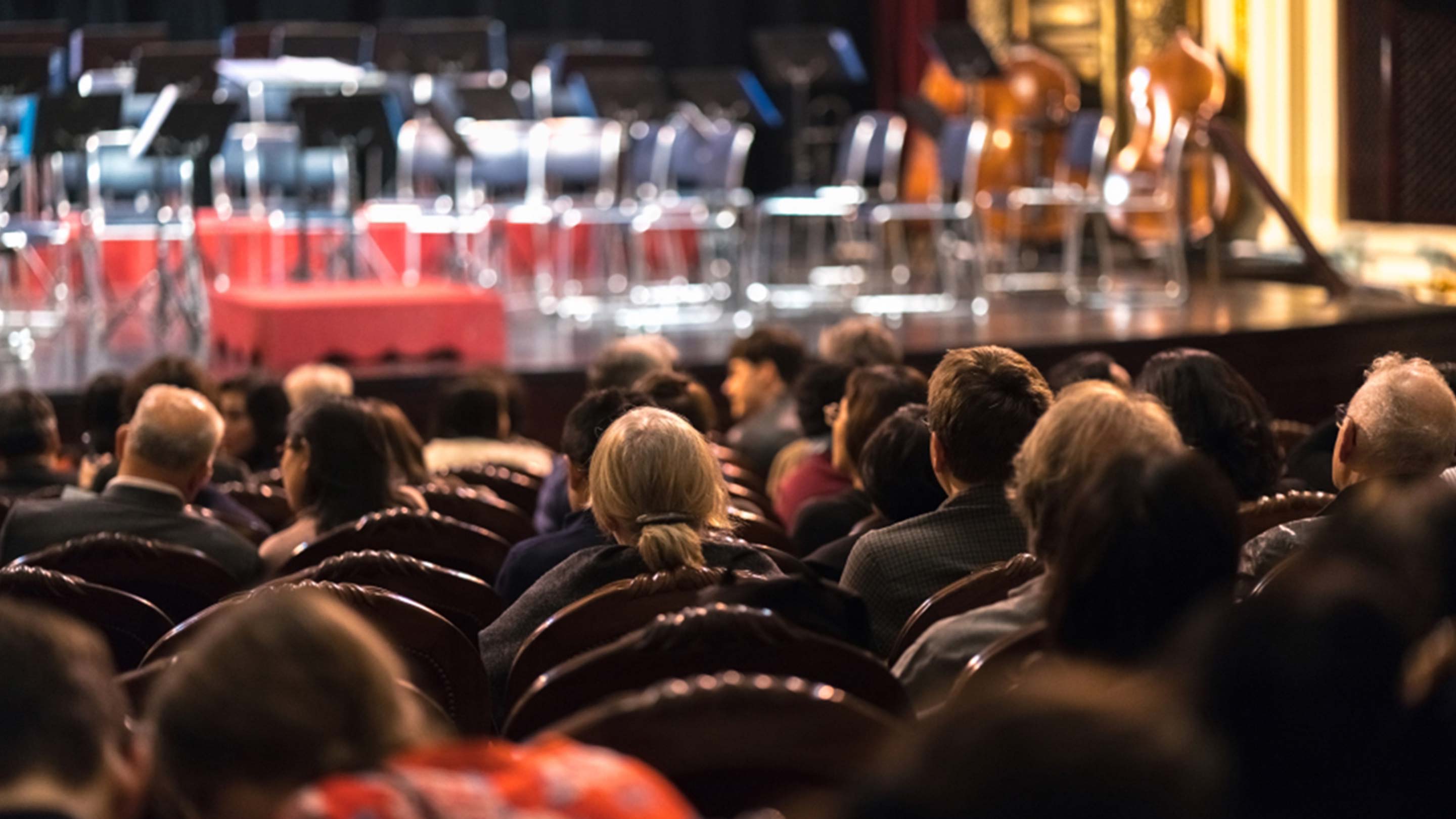 Audience Sitting Down